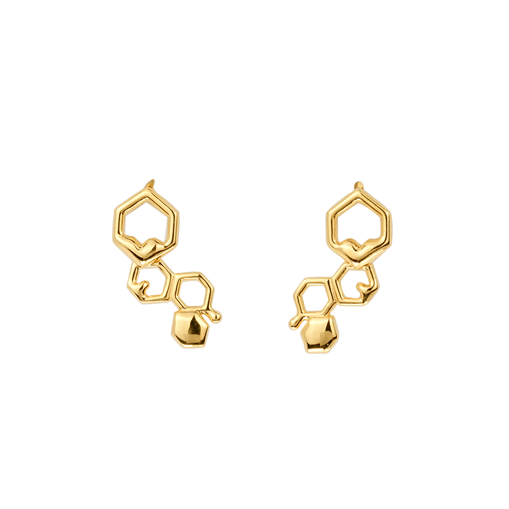 Gold hot sale paparazzi earrings